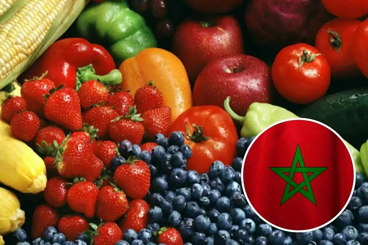 Variedad de frutas y verduras frescas con un círculo que muestra la bandera de Marruecos