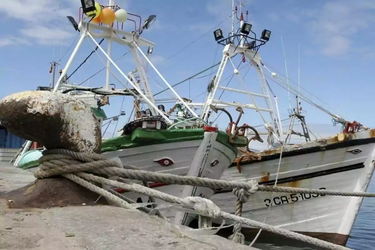 Barcos pesqueros amarrados en un puerto con cuerdas gruesas y un cielo despejado.