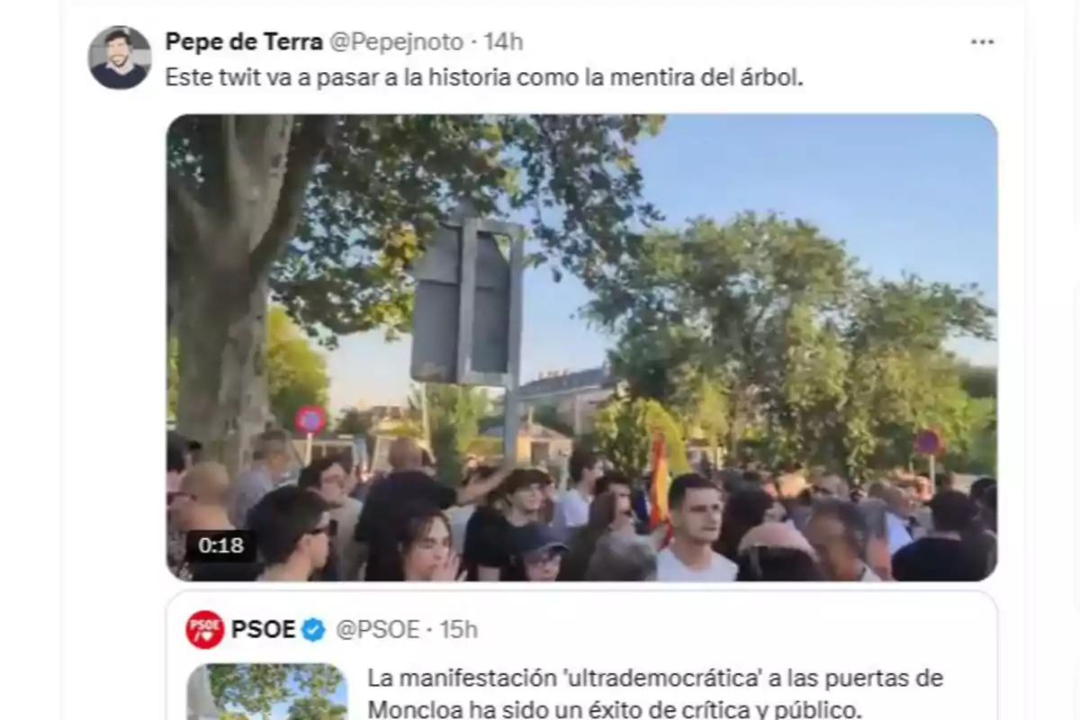 Captura de pantalla de un tuit que muestra una multitud reunida bajo árboles en una manifestación, acompañado de un comentario irónico sobre la historia de un árbol. Captura de pantalla de un tuit que muestra una multitud reunida bajo árboles en una manifestación, acompañado de un comentario irónico sobre la historia de un árbol.
