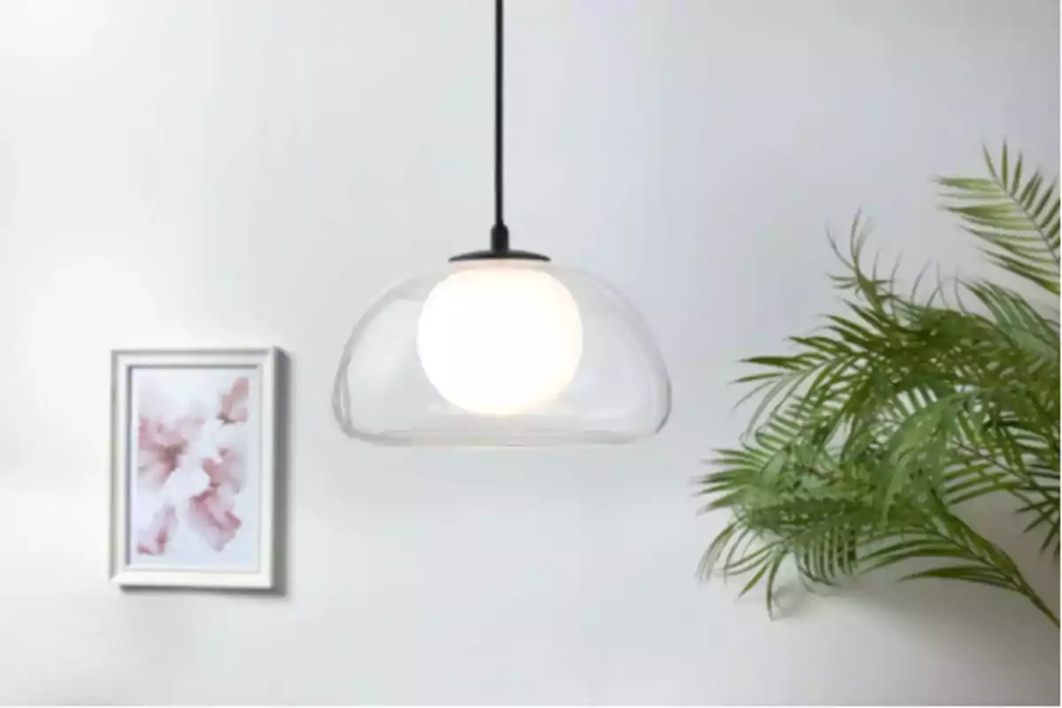 Lámpara colgante de vidrio encendida junto a una planta y un cuadro en la pared blanca Lámpara colgante de vidrio encendida junto a una planta y un cuadro en la pared blanca