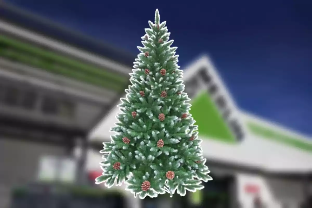 Árbol de Navidad decorado con piñas y nieve artificial frente a un edificio. Árbol de Navidad decorado con piñas y nieve artificial frente a un edificio.