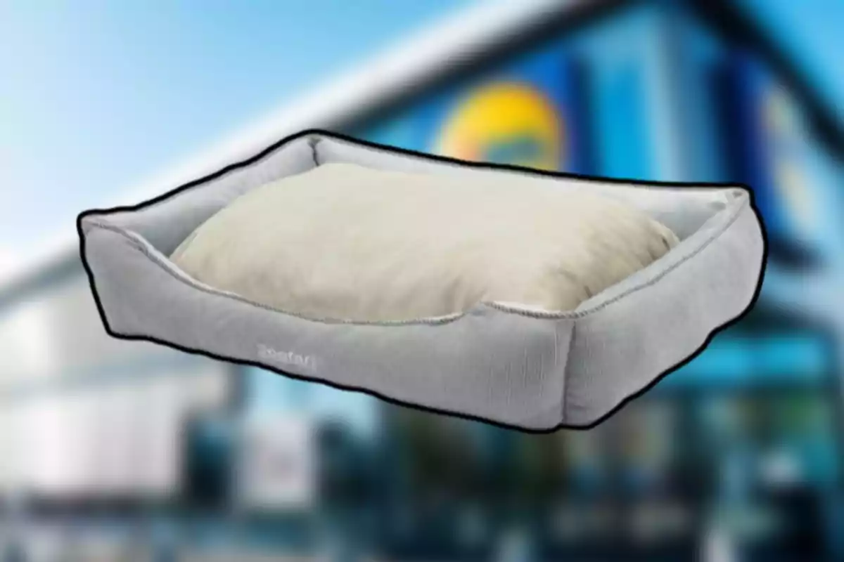 Cama para mascotas de color gris con cojín beige sobre un fondo desenfocado. Cama para mascotas de color gris con cojín beige sobre un fondo desenfocado.