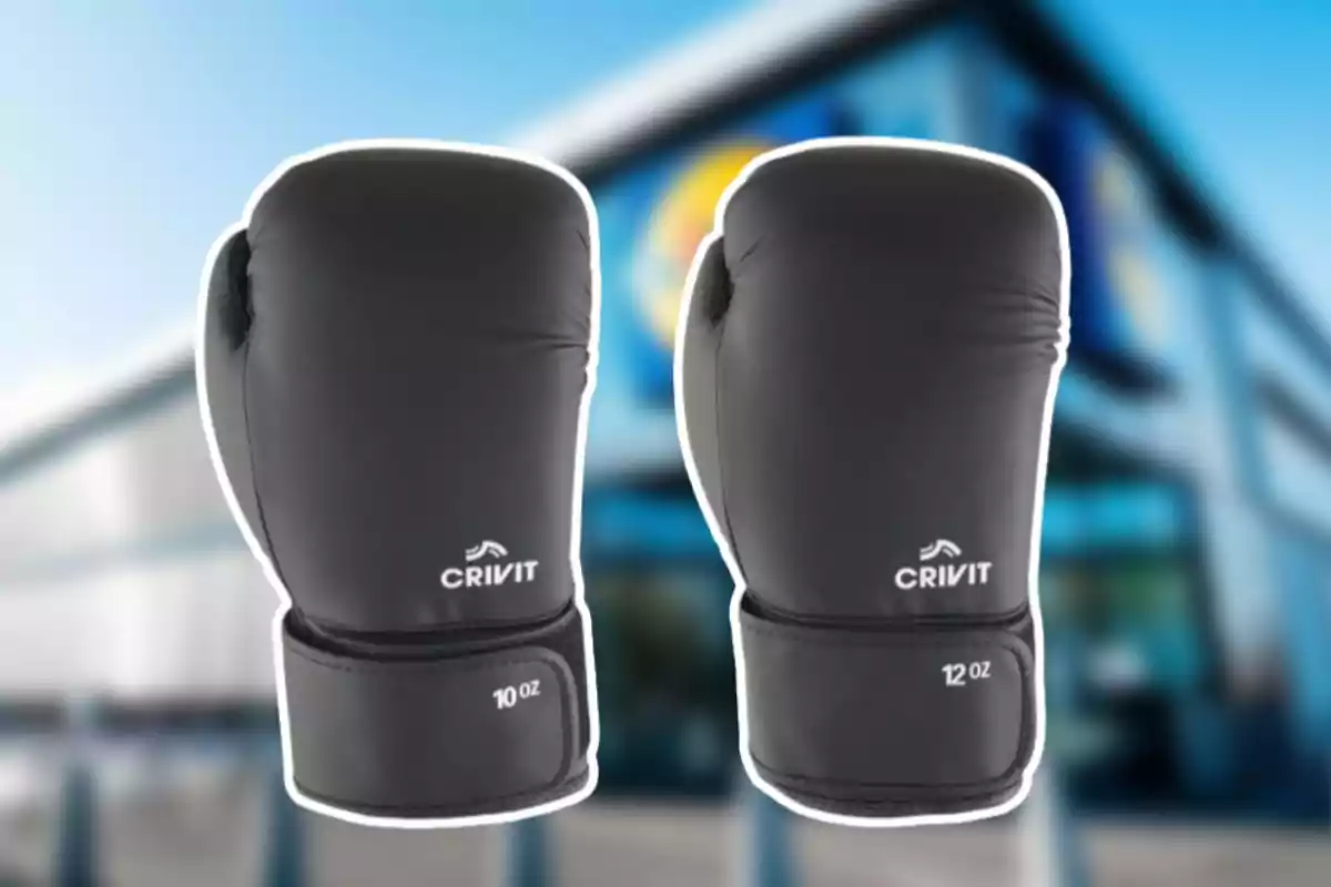 Un par de guantes de boxeo negros de la marca Crivit con pesos de 10 oz y 12 oz, sobre un fondo desenfocado de un edificio. Un par de guantes de boxeo negros de la marca Crivit con pesos de 10 oz y 12 oz, sobre un fondo desenfocado de un edificio.
