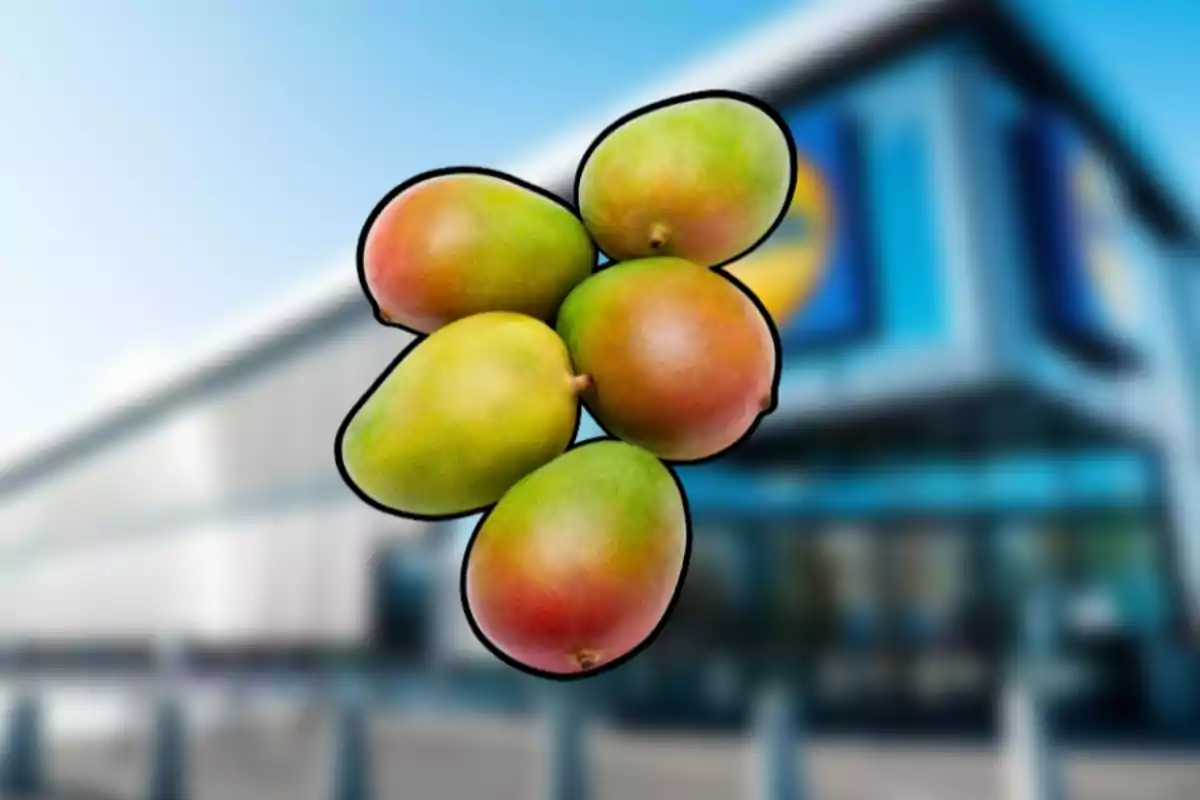 Cinco mangos con tonos verdes y rojizos están en primer plano con el fondo desenfocado de un supermercado moderno. Cinco mangos con tonos verdes y rojizos están en primer plano con el fondo desenfocado de un supermercado moderno.