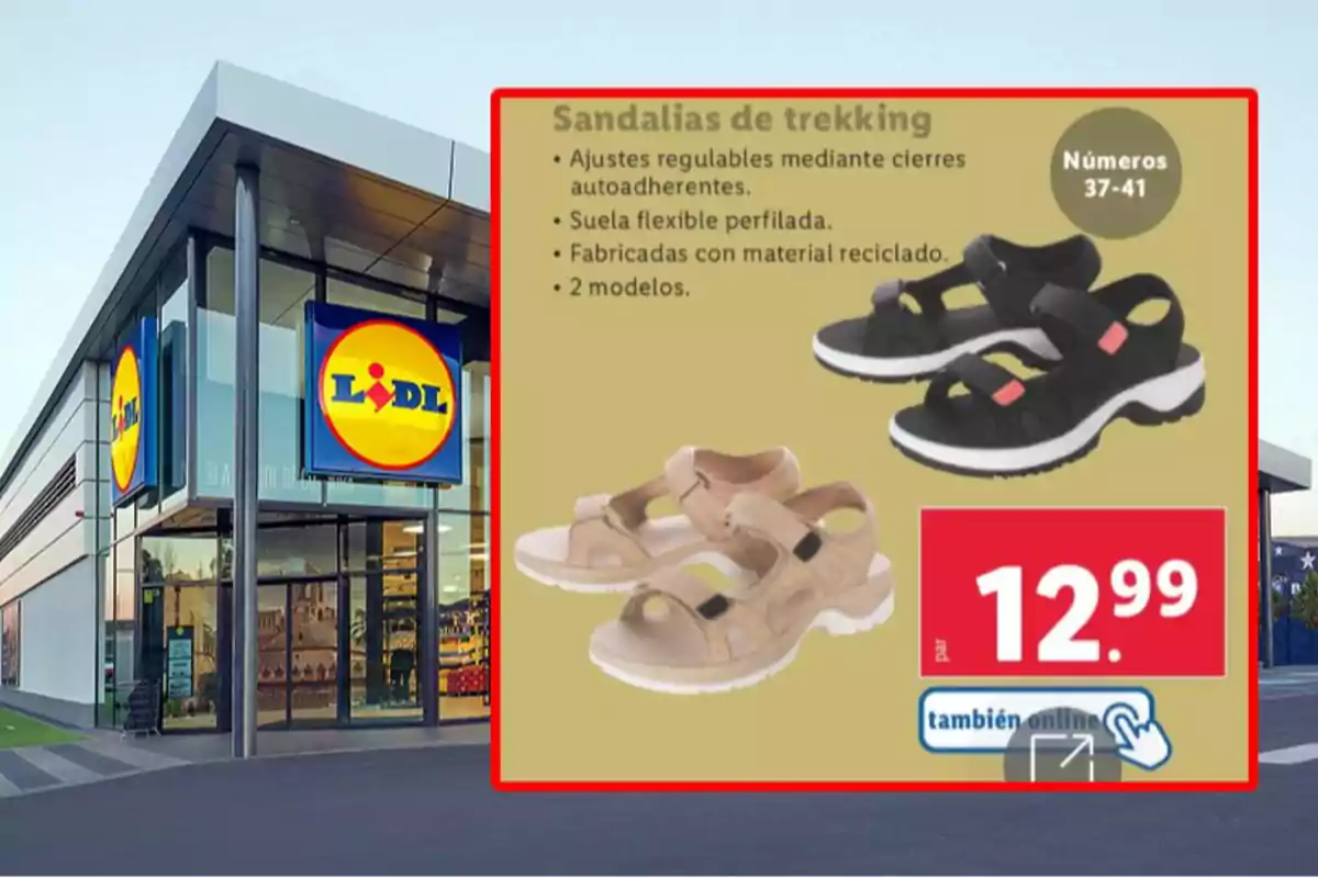Imagen de una tienda Lidl con un anuncio de sandalias de trekking en dos colores, beige y negro, con características como ajustes regulables, suela flexible y material reciclado, disponibles en tallas 37 a 41, a un precio de 12.99 euros. Imagen de una tienda Lidl con un anuncio de sandalias de trekking en dos colores, beige y negro, con características como ajustes regulables, suela flexible y material reciclado, disponibles en tallas 37 a 41, a un precio de 12.99 euros.