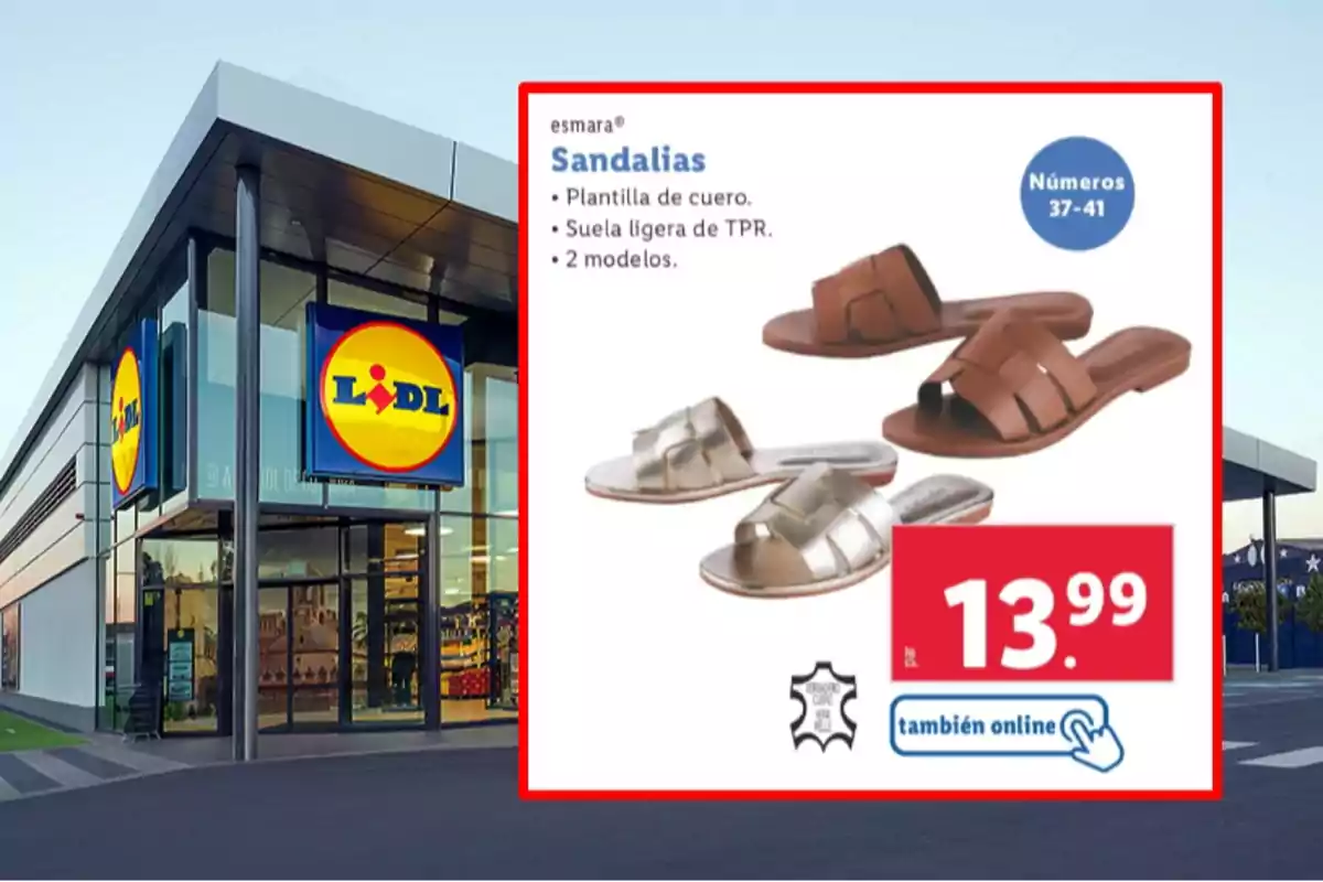 Imagen de una tienda Lidl con un anuncio de sandalias Esmara que tienen plantilla de cuero y suela ligera de TPR, disponibles en dos modelos y tallas del 37 al 41, con un precio de 13.99 euros y opción de compra online. Imagen de una tienda Lidl con un anuncio de sandalias Esmara que tienen plantilla de cuero y suela ligera de TPR, disponibles en dos modelos y tallas del 37 al 41, con un precio de 13.99 euros y opción de compra online.