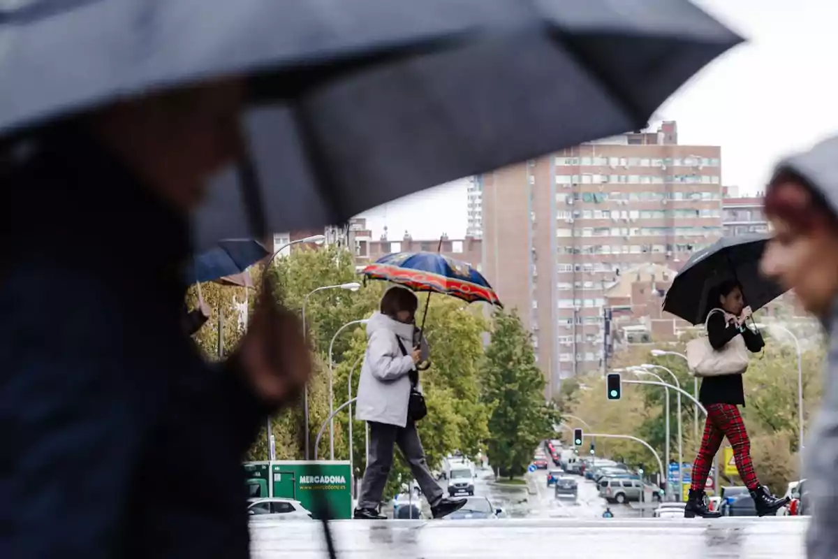 Personas cruzan una calle bajo la lluvia usando paraguas en una ciudad con edificios altos al fondo y tráfico en la avenida.