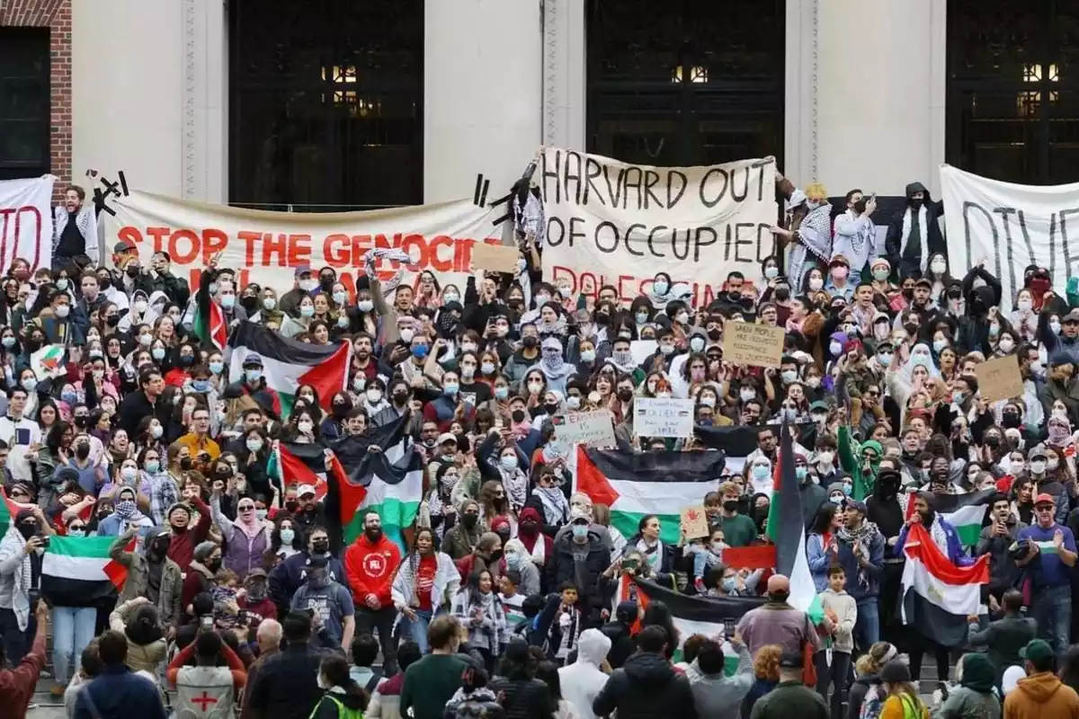 Manifestantes portan carteles y banderas apoyando a Palestina