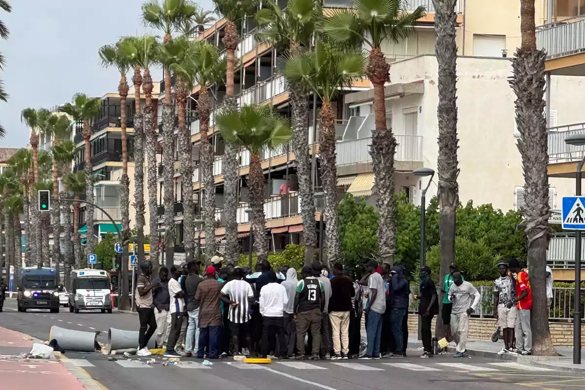 Un grupo de personas se reúne en una calle bordeada de palmeras frente a edificios residenciales mientras hay papeleras volcadas y vehículos policiales y una ambulancia al fondo Un grupo de personas se reúne en una calle bordeada de palmeras frente a edificios residenciales mientras hay papeleras volcadas y vehículos policiales y una ambulancia al fondo