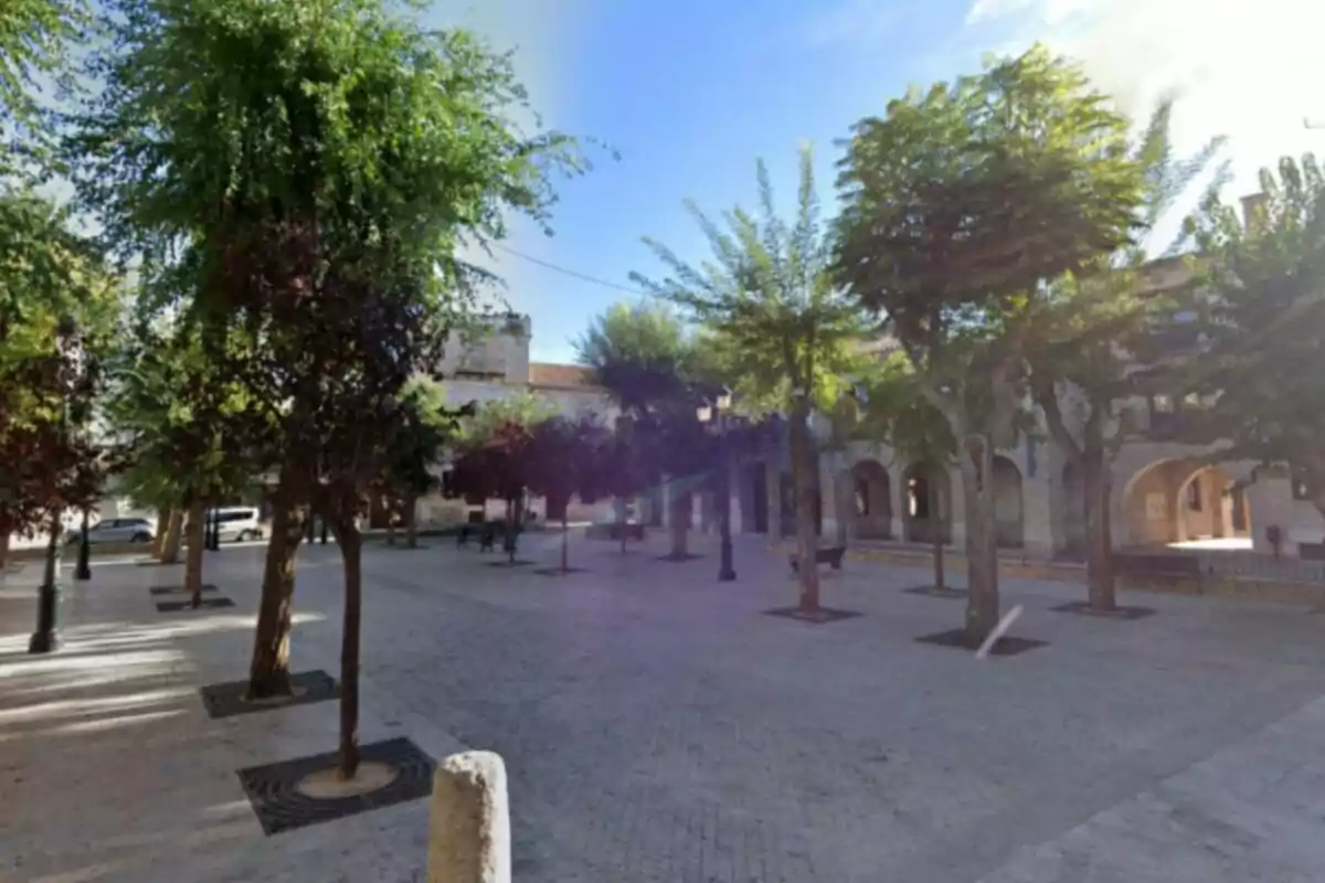 Una plaza con árboles y edificios antiguos alrededor en un día soleado. Una plaza con árboles y edificios antiguos alrededor en un día soleado.