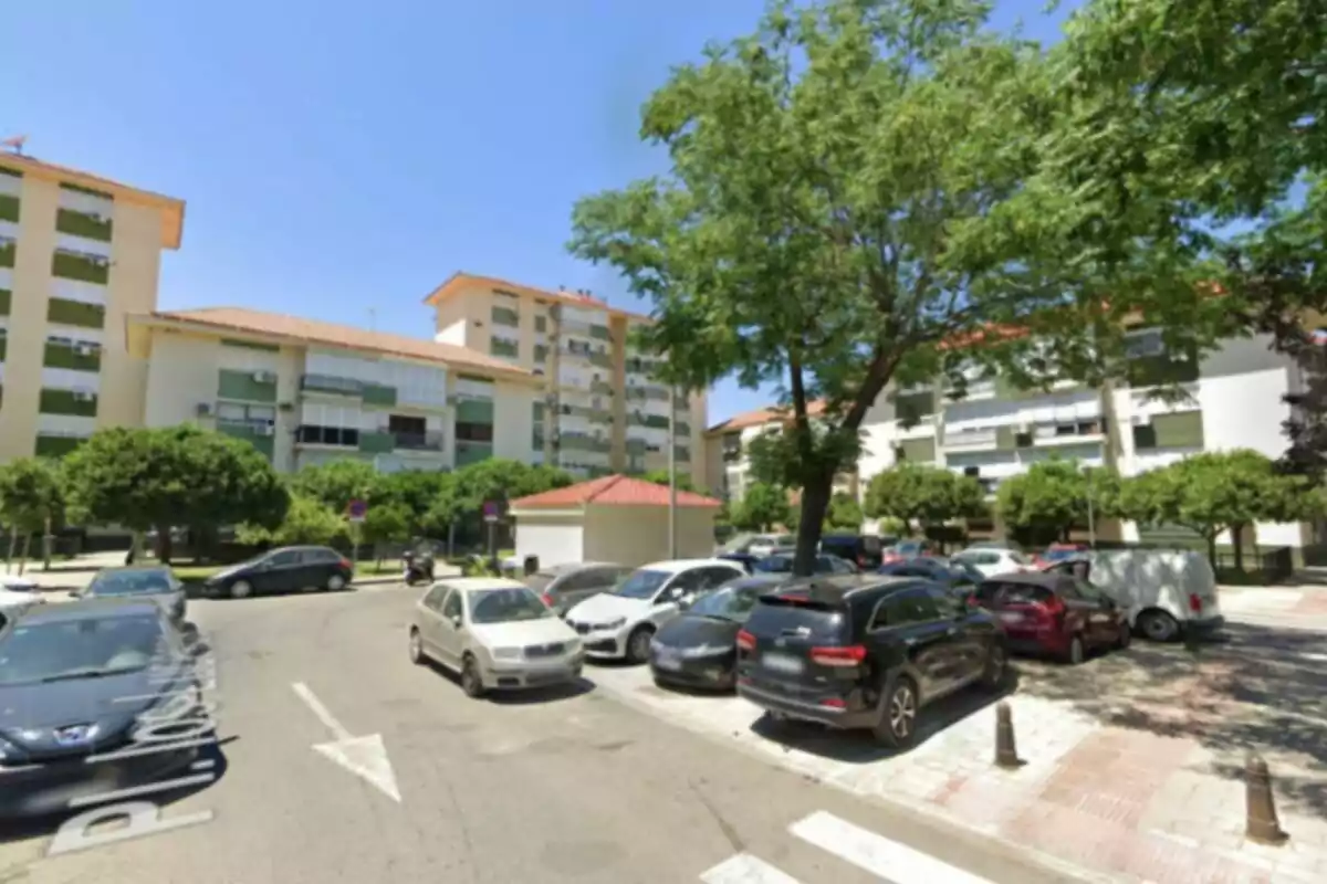 Varios edificios residenciales rodeados de árboles y coches estacionados en una zona urbana en un día soleado Varios edificios residenciales rodeados de árboles y coches estacionados en una zona urbana en un día soleado