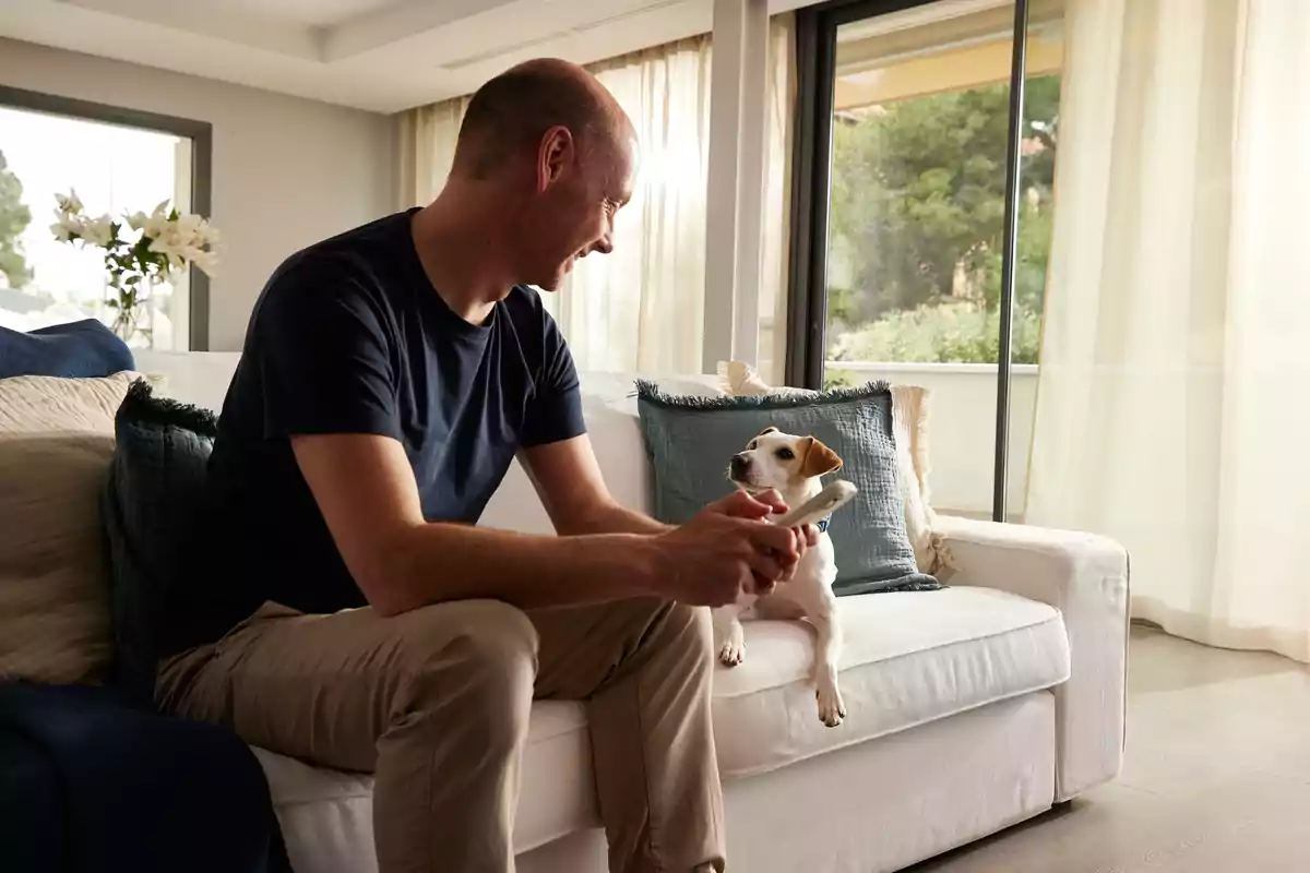 Un hombre sentado en un sofá blanco interactuando con un perro pequeño en una sala de estar iluminada con luz natural.