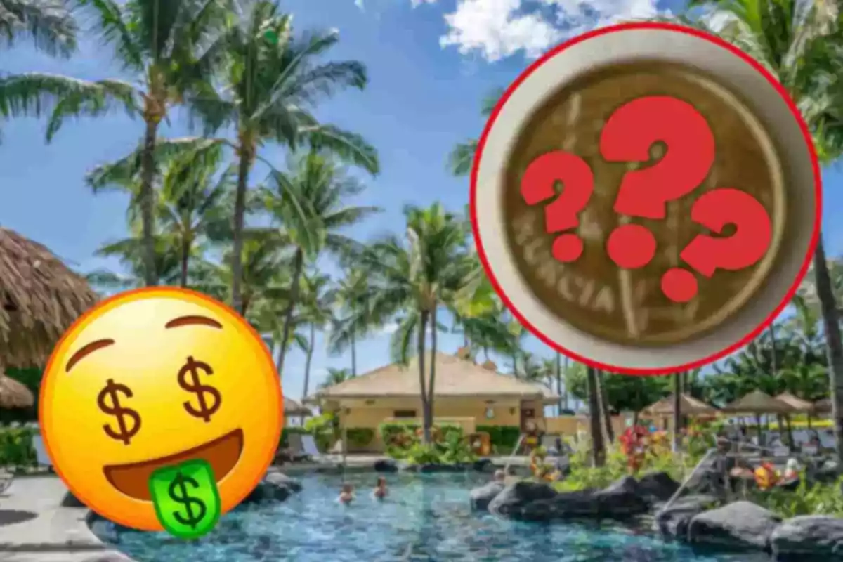 Una piscina rodeada de palmeras con un emoji de cara sonriente con símbolos de dólar en los ojos y la lengua y un círculo rojo con signos de interrogación.