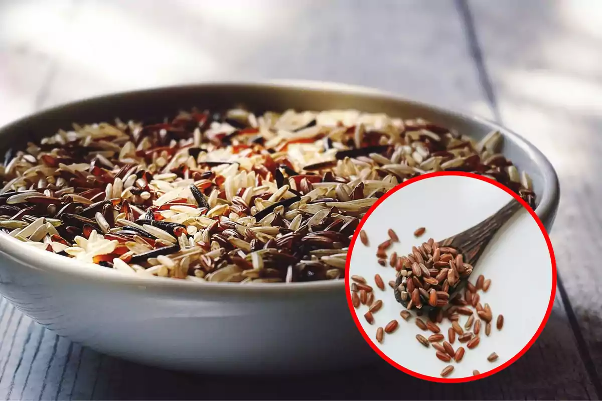 montaje de cuenco de arroz con circulo y cuchara de arroz montaje de cuenco de arroz con circulo y cuchara de arroz