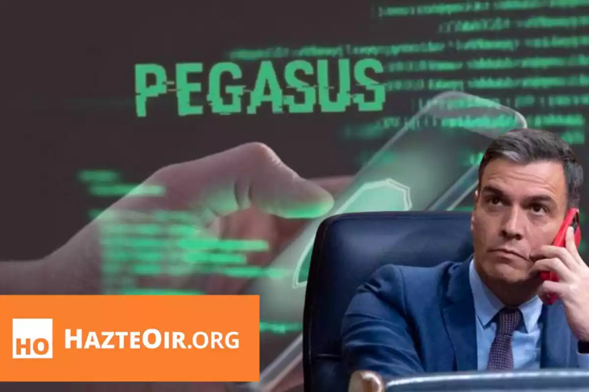 Montaje de Sánchez, programa Pegasus y logo de Hazte Oir