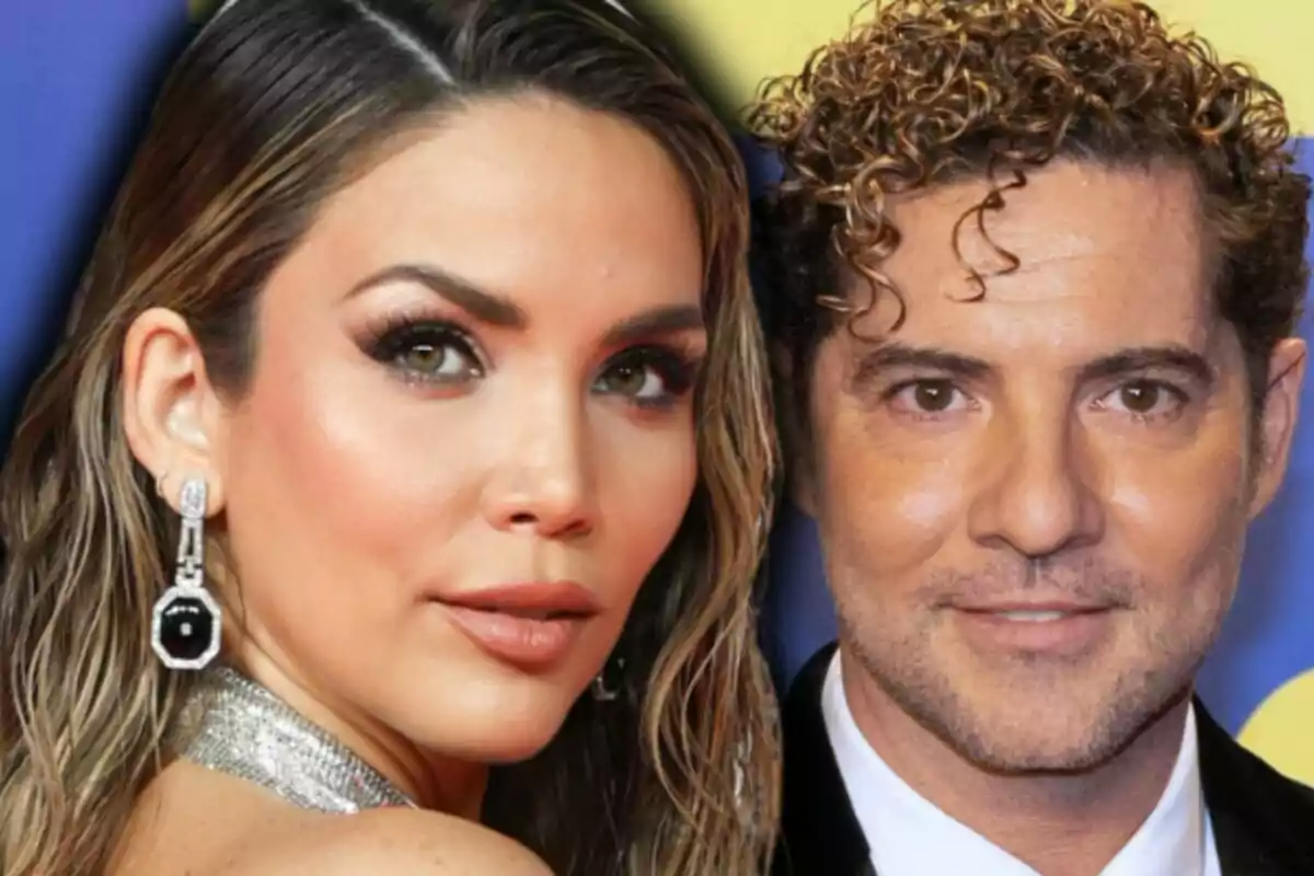 Montaje de fotos de primer plano de David Bisbal con rostro medio sonriente y Rosanna Zanetti con rostro serio.