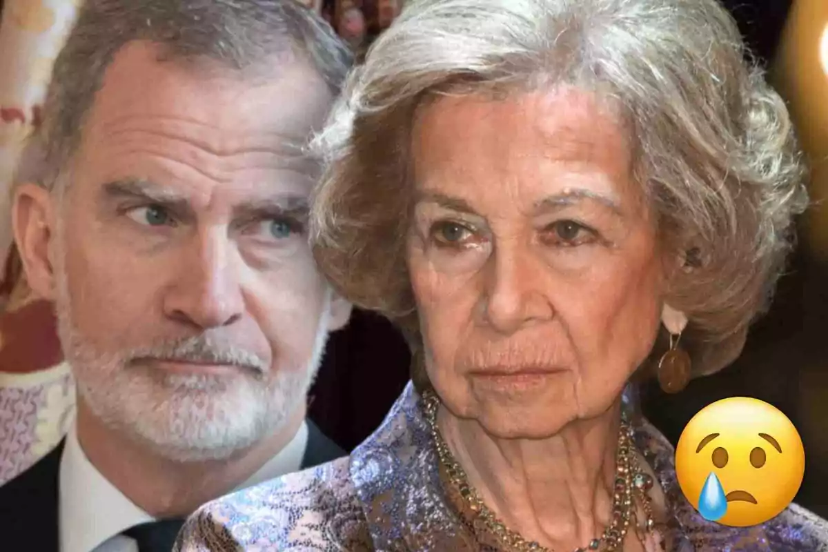King Felipe looking at Queen Sofía with a serious expression and a sad face emoji with a tear in the corner