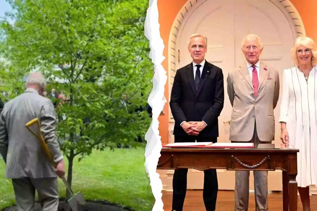 El rey Carlos III de espaldas con una pala junto a un árbol y él mismo, con Camila, posando junto a una mesa en un interior elegante, con la imagen dividida en dos partes El rey Carlos III de espaldas con una pala junto a un árbol y él mismo, con Camila, posando junto a una mesa en un interior elegante, con la imagen dividida en dos partes