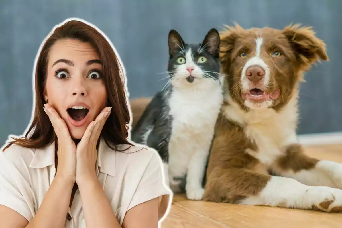 Una mujer con expresión de sorpresa junto a un gato y un perro.