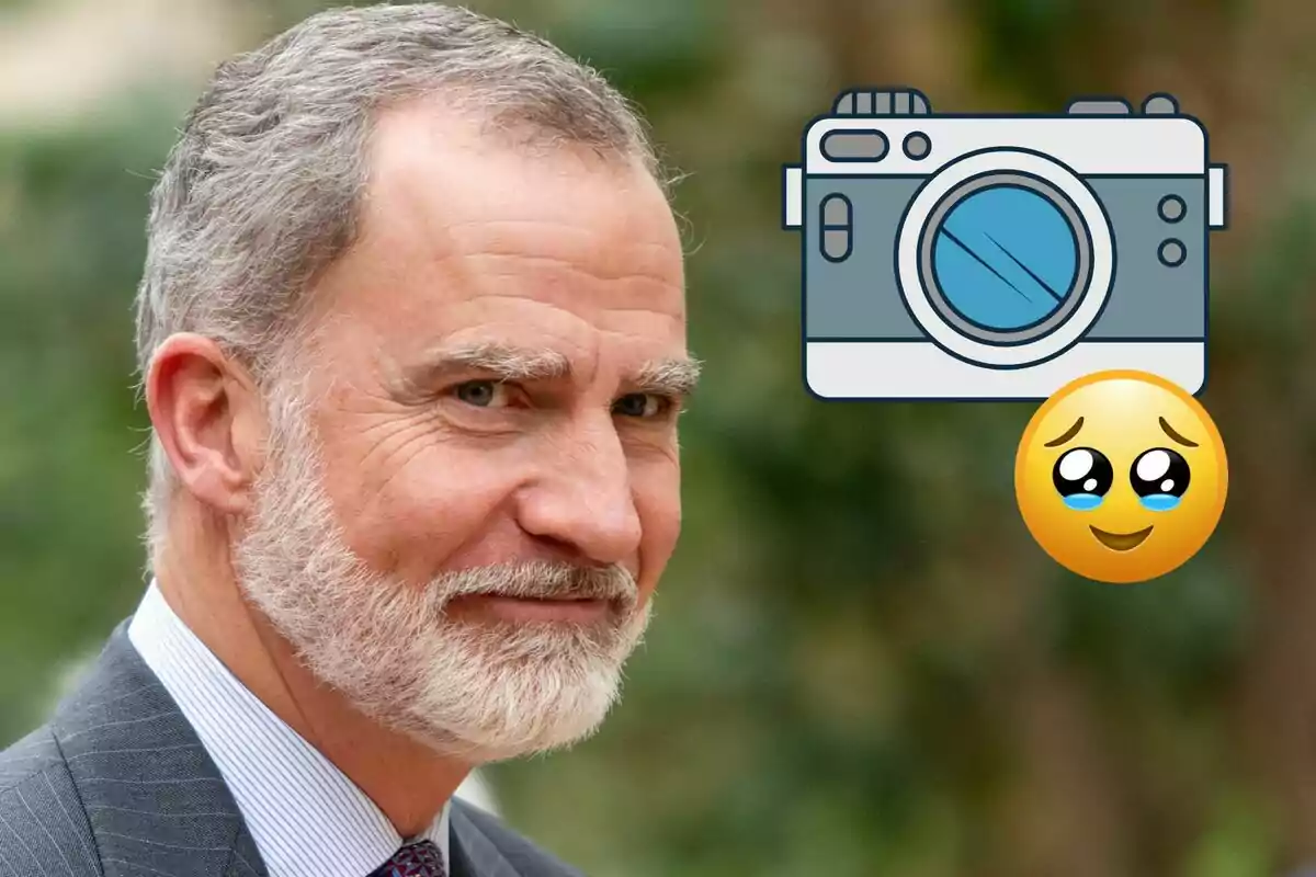 Felipe VI con traje y corbata, junto a un dibujo de cámara fotográfica y un emoji de carita con ojos brillosos
