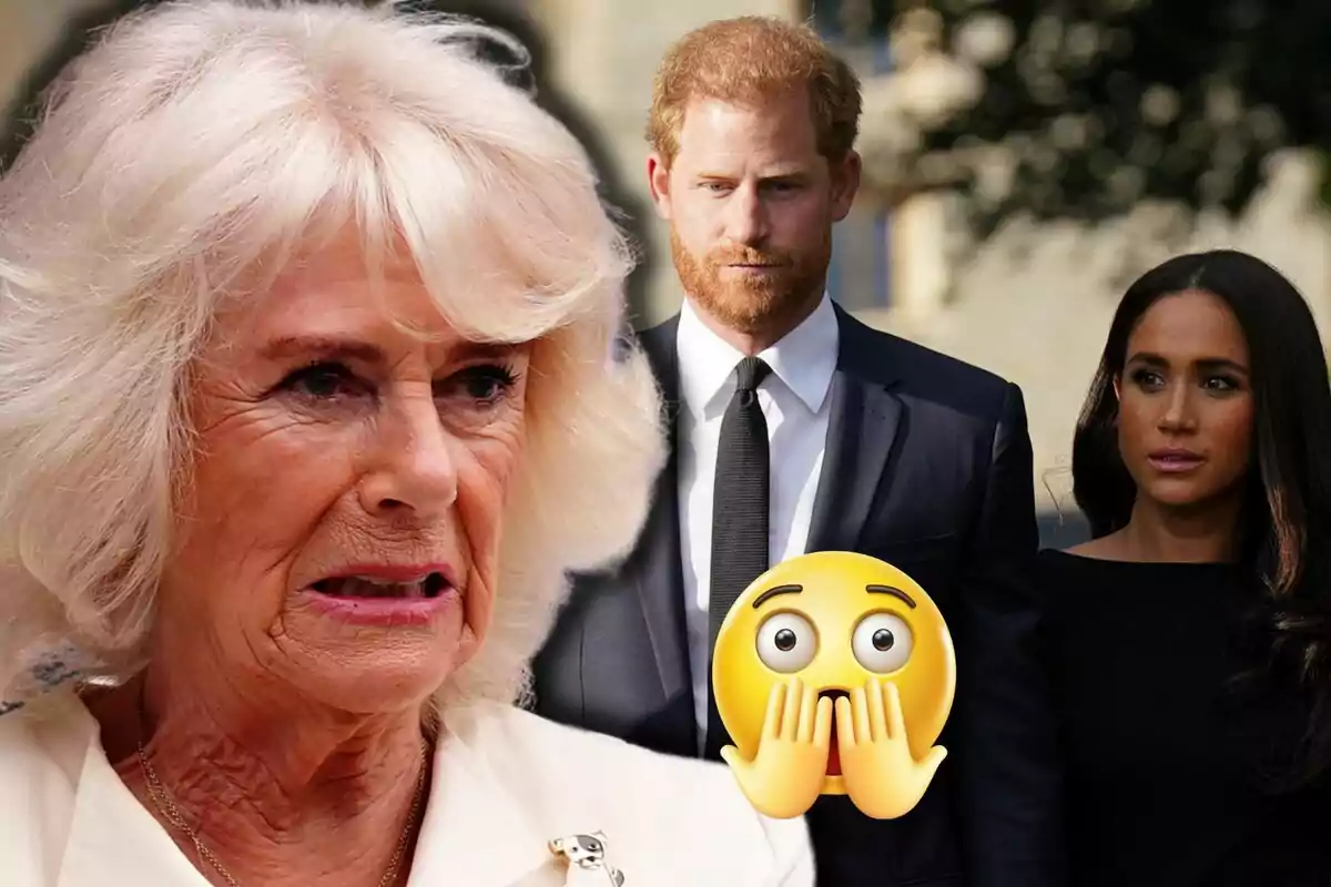 Queen Camilla with a look of disgust in the foreground, and in the background Prince Harry and Meghan Markle dressed in black next to a surprised emoji.