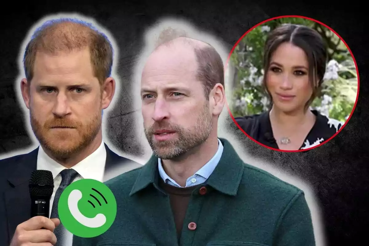 Princes Harry and William serious, one with a microphone, and Meghan Markle in a red circle in the background, with a green call icon overlaid.
