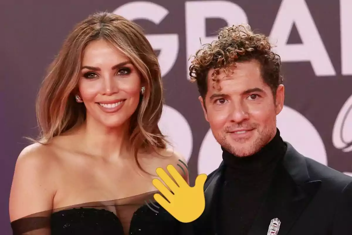 Rosanna Zanetti y David Bisbal sonriente posando en un evento formal con un fondo de letras grandes y una mano emoji cubriendo parte de la imagen.