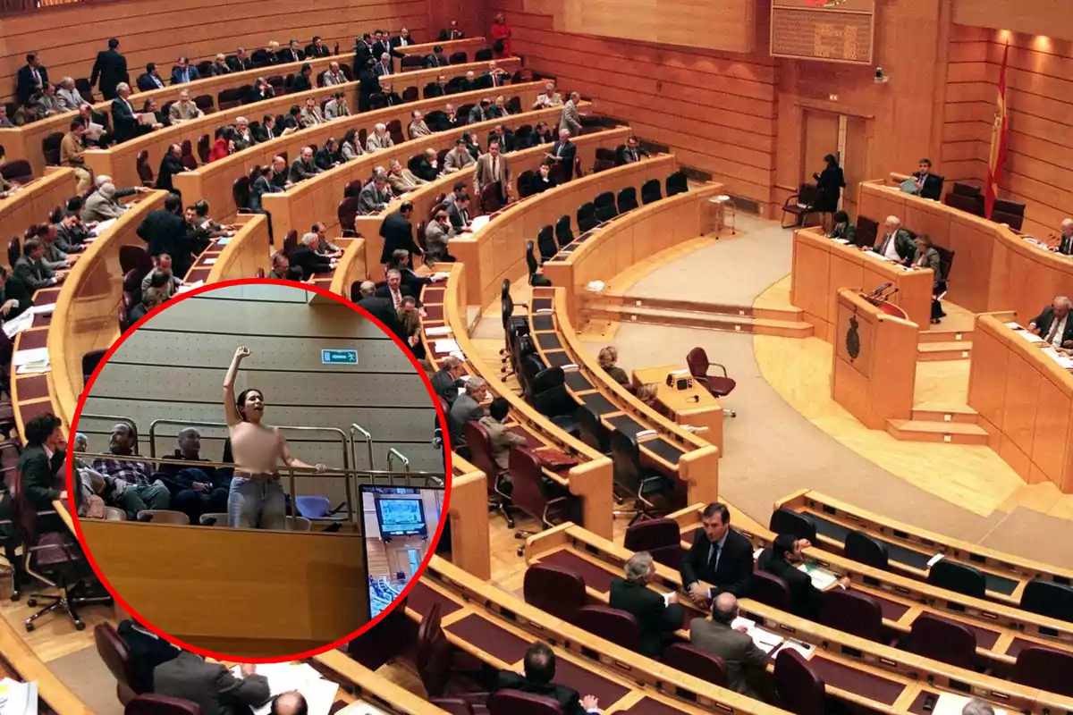 Una persona protesta en el balcón de un parlamento lleno de asistentes.