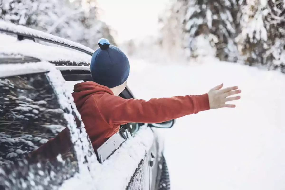 Persona con gorro azul saca el brazo por la ventana de un coche en un paisaje nevado.