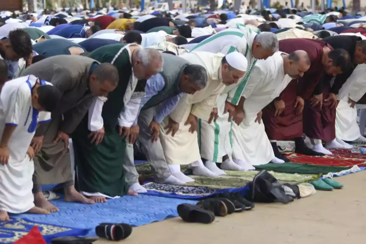 Un grupo de personas realizando una oración en una mezquita, inclinándose hacia adelante sobre alfombras de oración. Un grupo de personas realizando una oración en una mezquita, inclinándose hacia adelante sobre alfombras de oración.