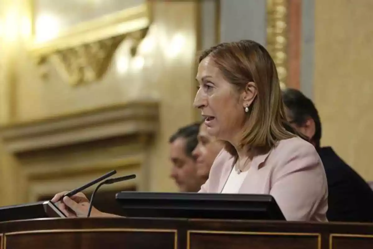 Ana Pastor en el Congreso de los Diputados