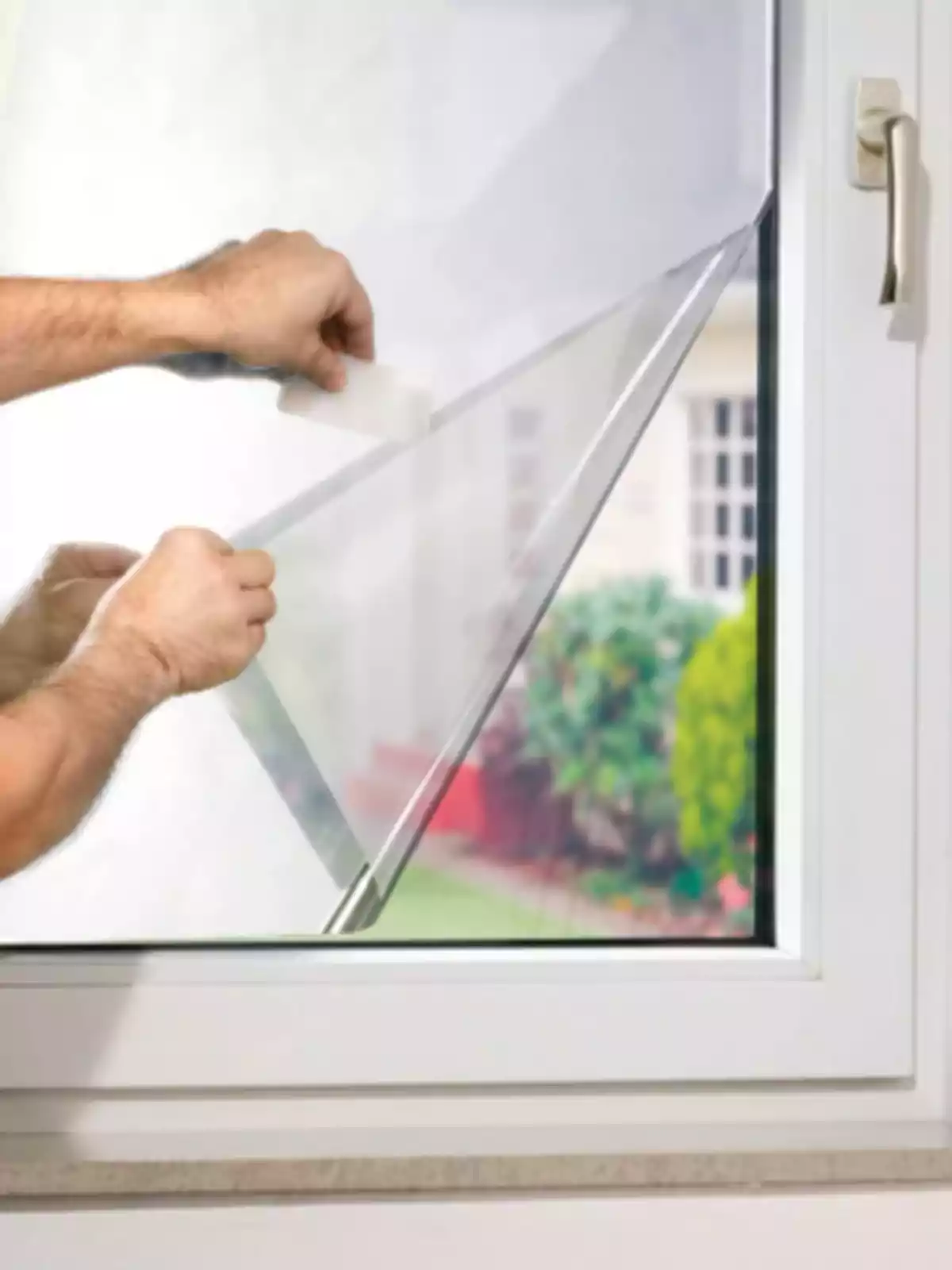 Persona instalando una lámina protectora en una ventana de vidrio Persona instalando una lámina protectora en una ventana de vidrio