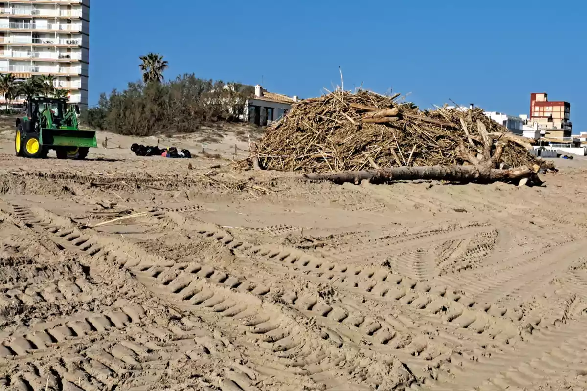 Limpieza de playa en Valencia