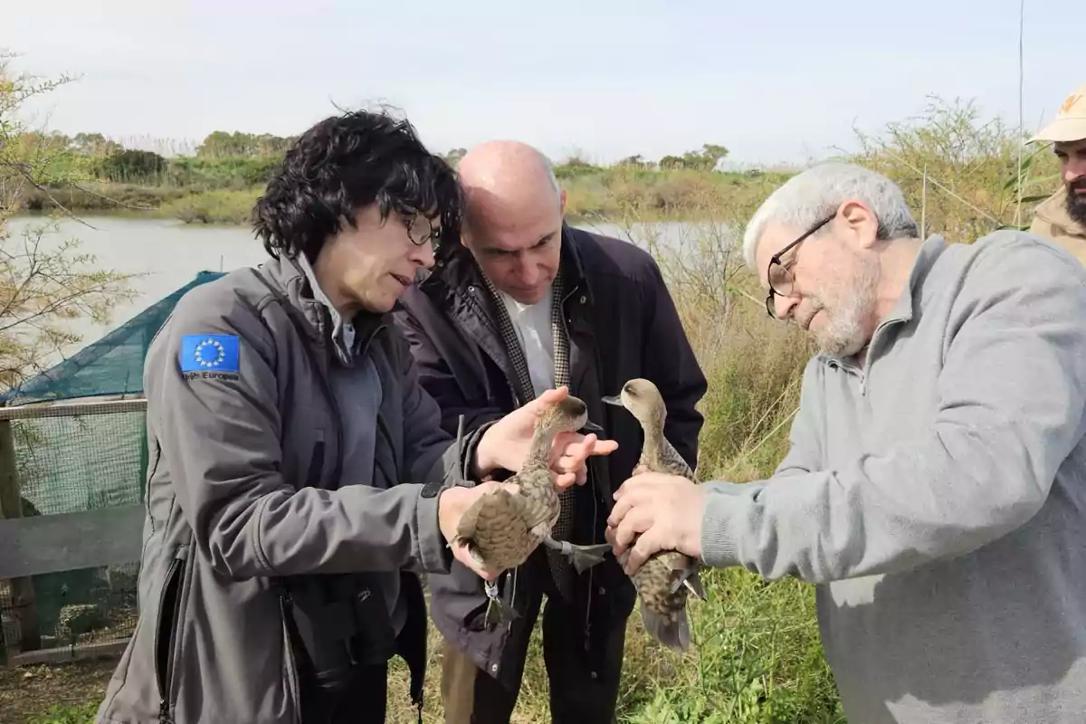 Three people observe and hold birds in a natural setting near a body of water.