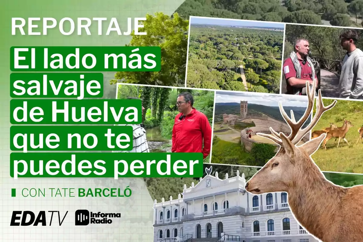 Reportaje sobre el lado más salvaje de Huelva con imágenes de naturaleza, un ciervo, un edificio histórico y personas conversando, presentado por Tate Barceló en EDA TV e Informa Radio.