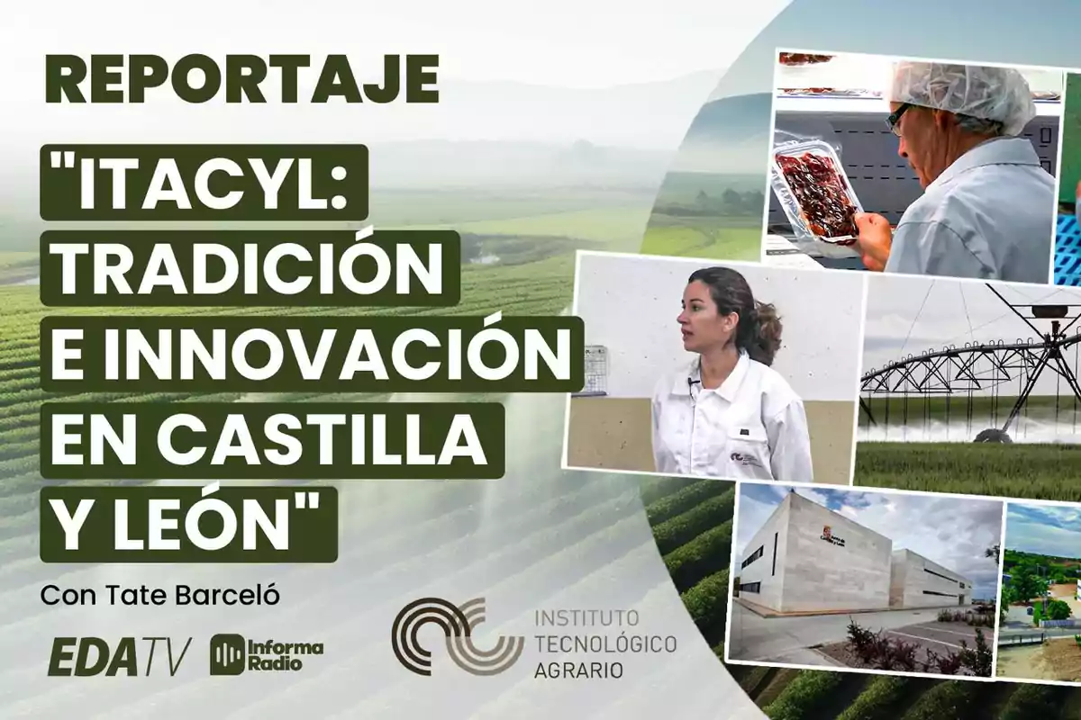 Report on ITACYL tradition and innovation in Castilla y León with Tate Barceló presented by EDA TV and Informa Radio Agrarian Technological Institute with images of agriculture and technology.