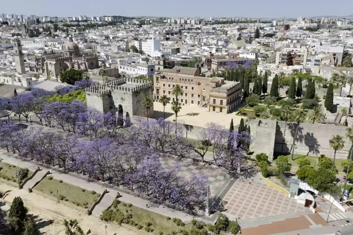 Vista aérea de una ciudad con un conjunto de árboles de flores moradas, una plaza, murallas antiguas y edificios históricos rodeados de vegetación Vista aérea de una ciudad con un conjunto de árboles de flores moradas, una plaza, murallas antiguas y edificios históricos rodeados de vegetación