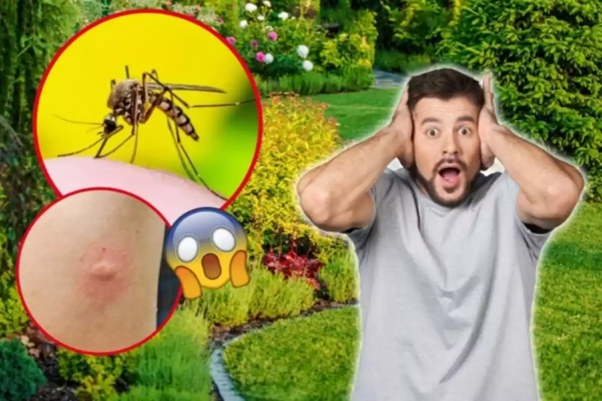 Hombre sorprendido por una picadura de mosquito en un jardín.