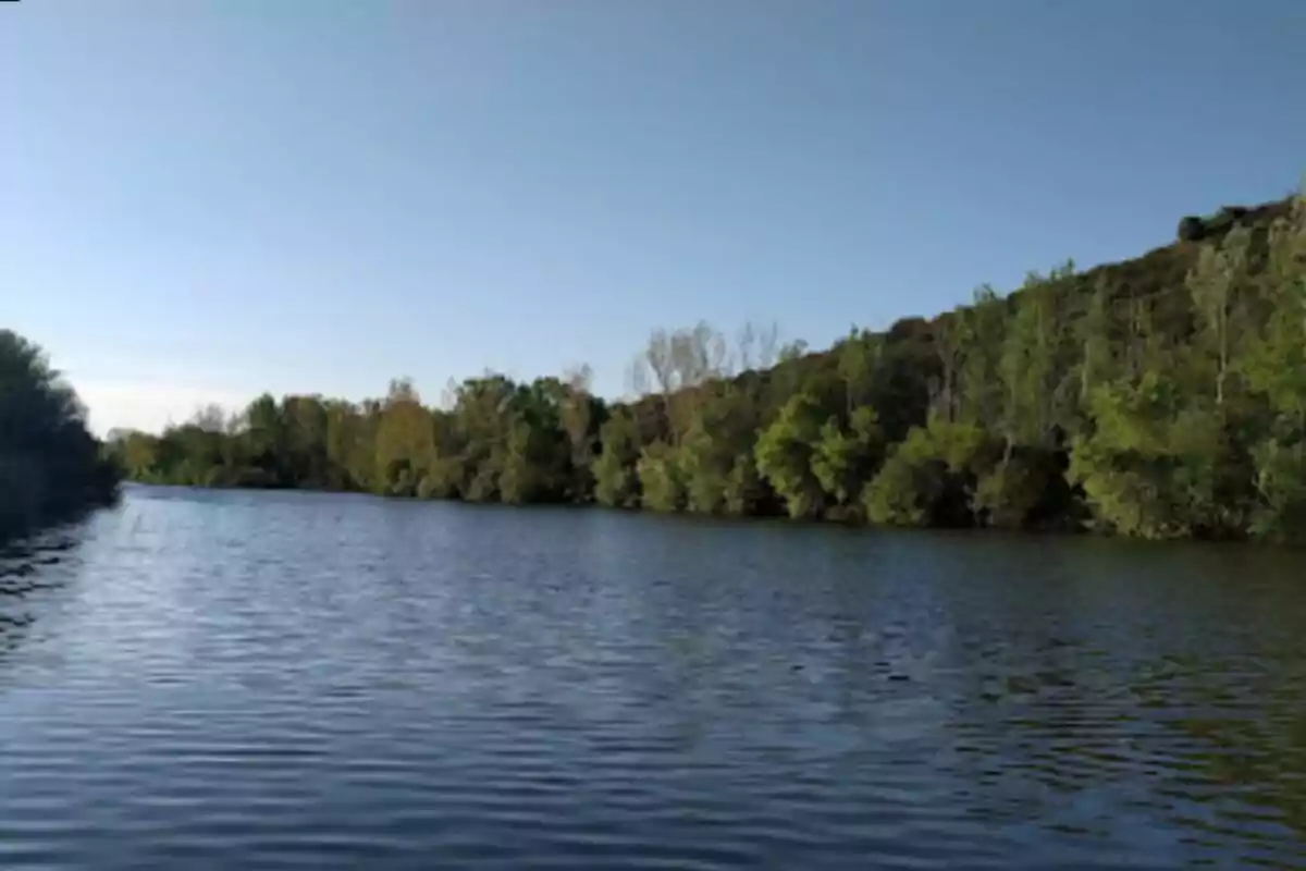 Río rodeado de árboles bajo un cielo despejado.