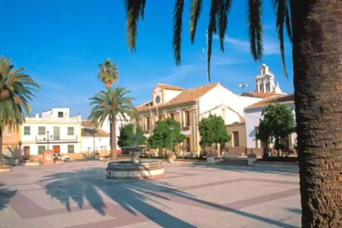 Plaza soleada con palmeras, una fuente central y edificios históricos al fondo Plaza soleada con palmeras, una fuente central y edificios históricos al fondo