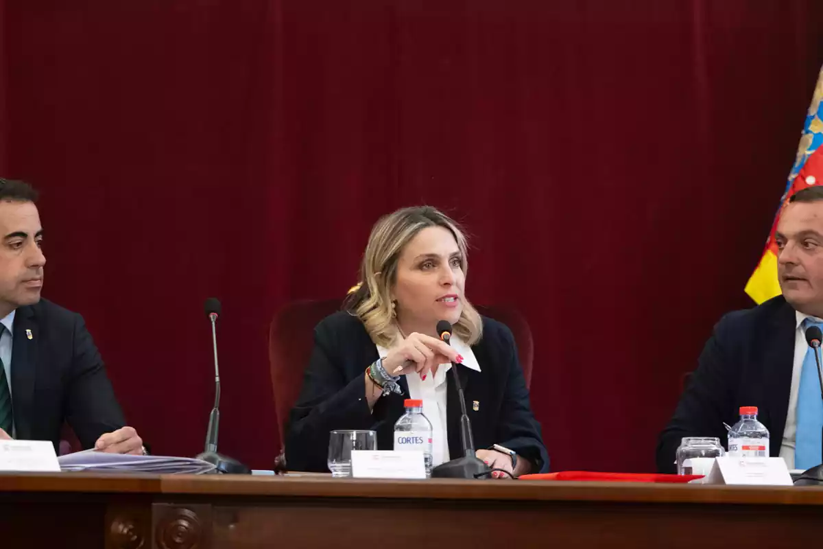 Marta Barrachina en el Pleno de la Diputación