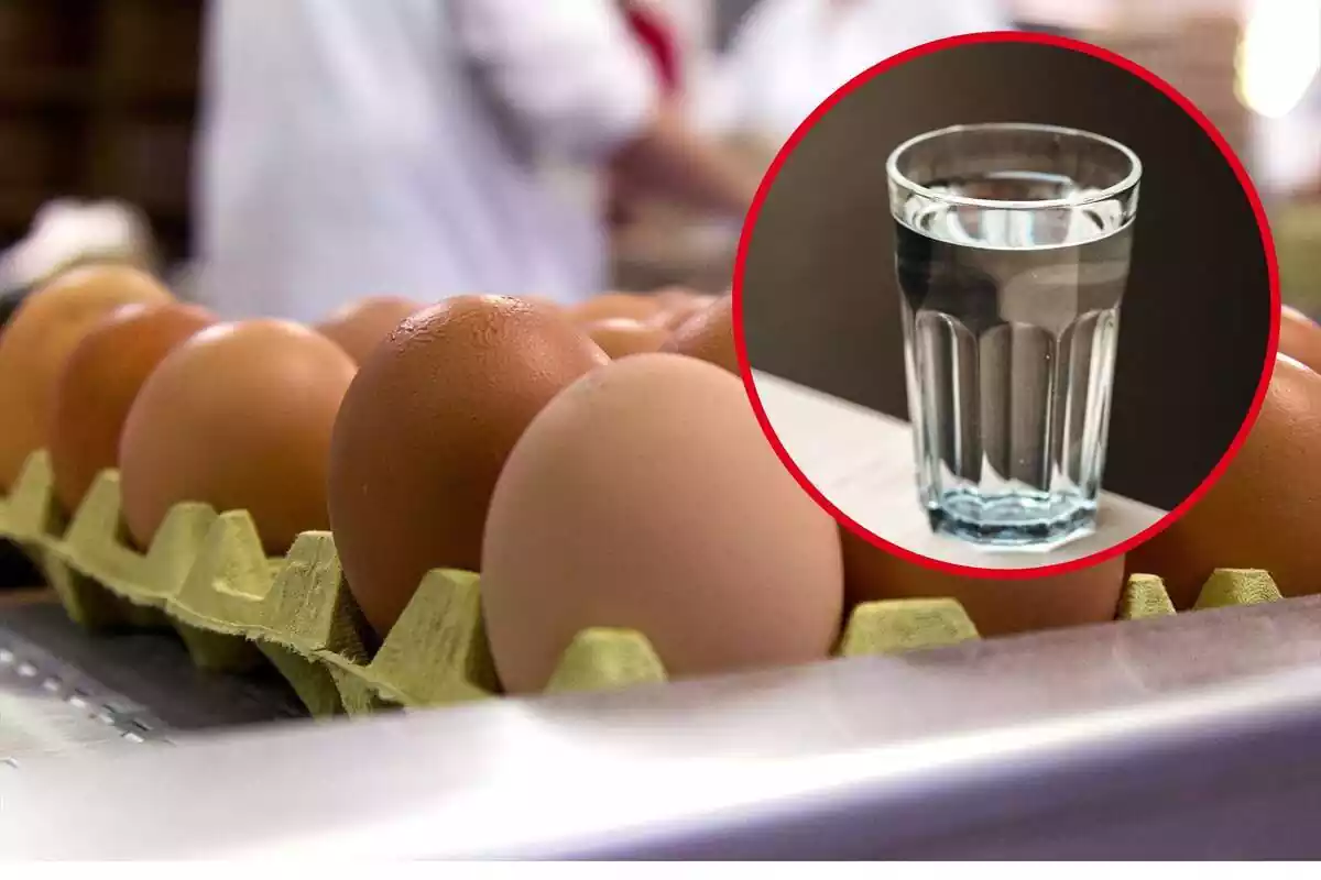 Montaje con conjunto de huevos y círculo rojo con vaso de agua