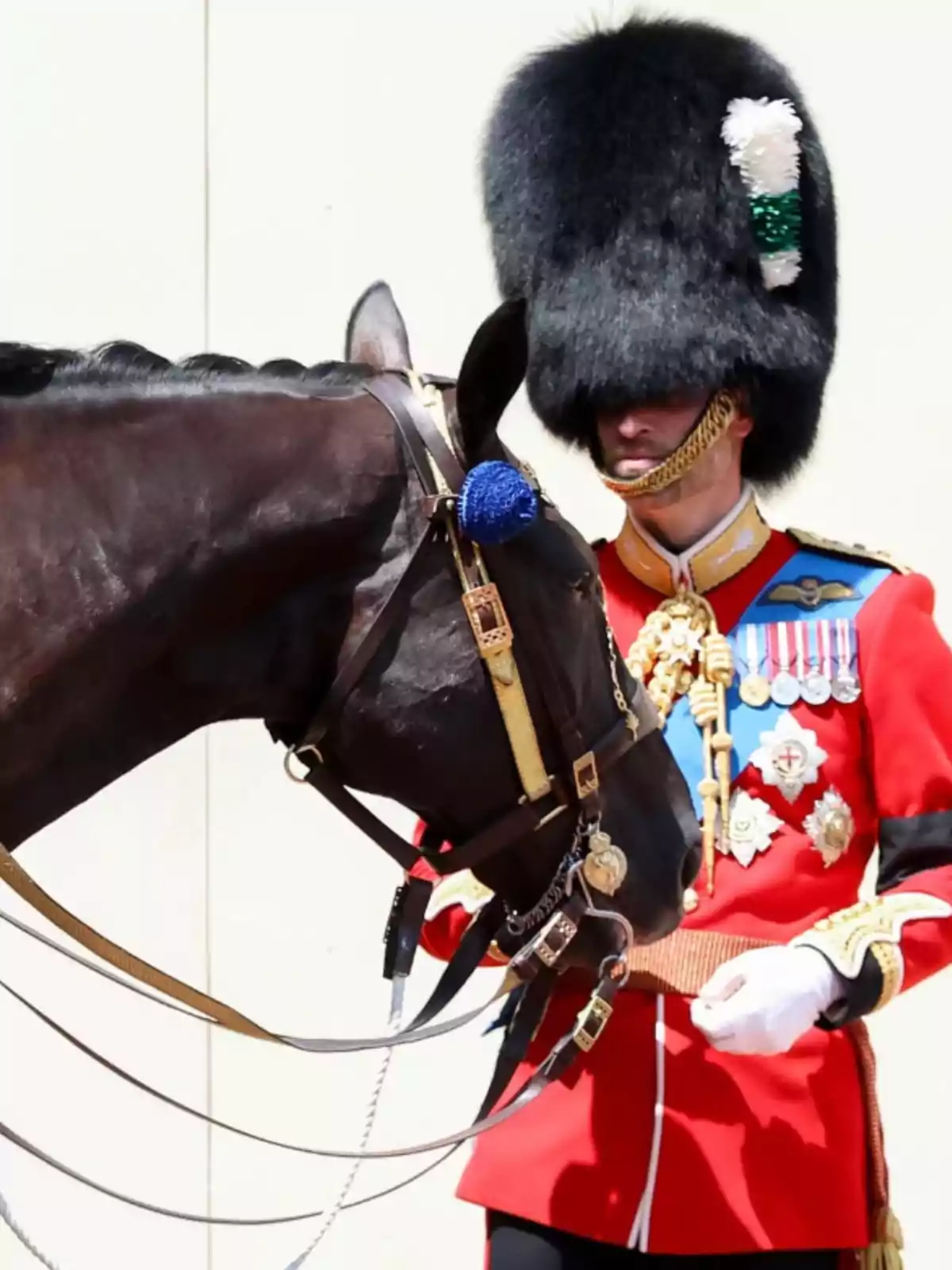 Guard in a red uniform and black fur hat next to a dark horse Guard in a red uniform and black fur hat next to a dark horse