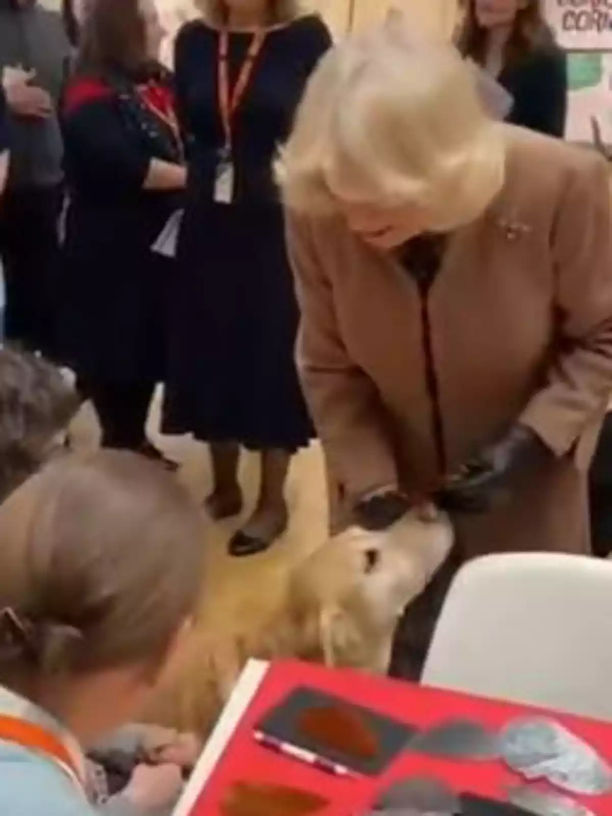 La reina Camila con abrigo marrón interactúa con un perro mientras varias personas observan en el fondo. La reina Camila con abrigo marrón interactúa con un perro mientras varias personas observan en el fondo.