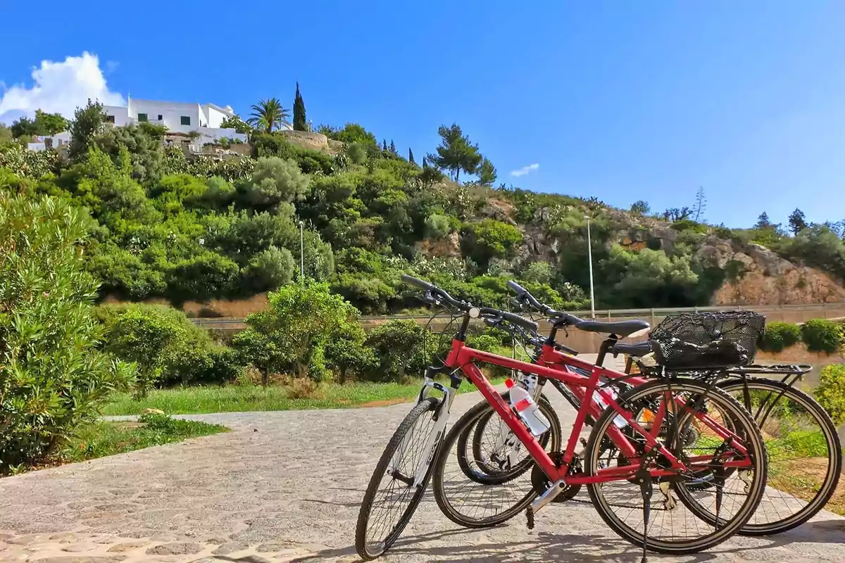 Bicicletas estacionadas en un camino pavimentado con una colina verde y una casa blanca en el fondo bajo un cielo azul.