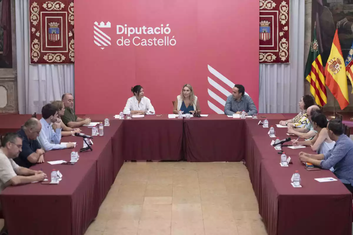 Marta Barrachina, presidenta de la Diputación de Castellón reunida en el Pleno