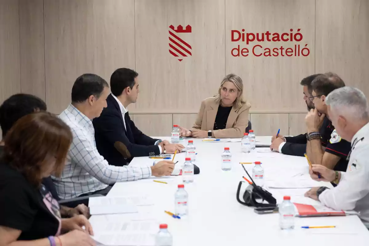 Marta Barrachina, presidenta de la Diputacion de Castellon, durante la reunión