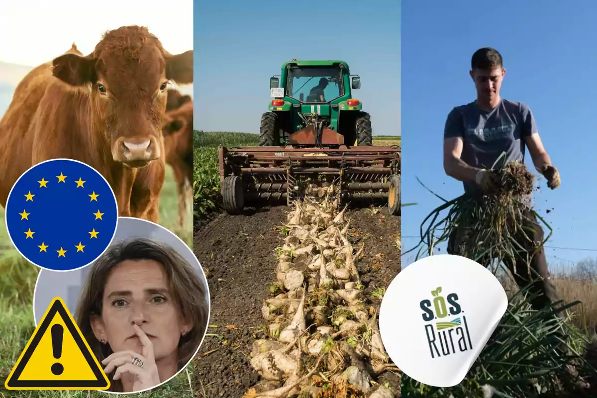 Una vaca en un campo, un tractor arando la tierra y un agricultor cosechando, con símbolos de la Unión Europea, una advertencia y un logotipo de SOS Rural.