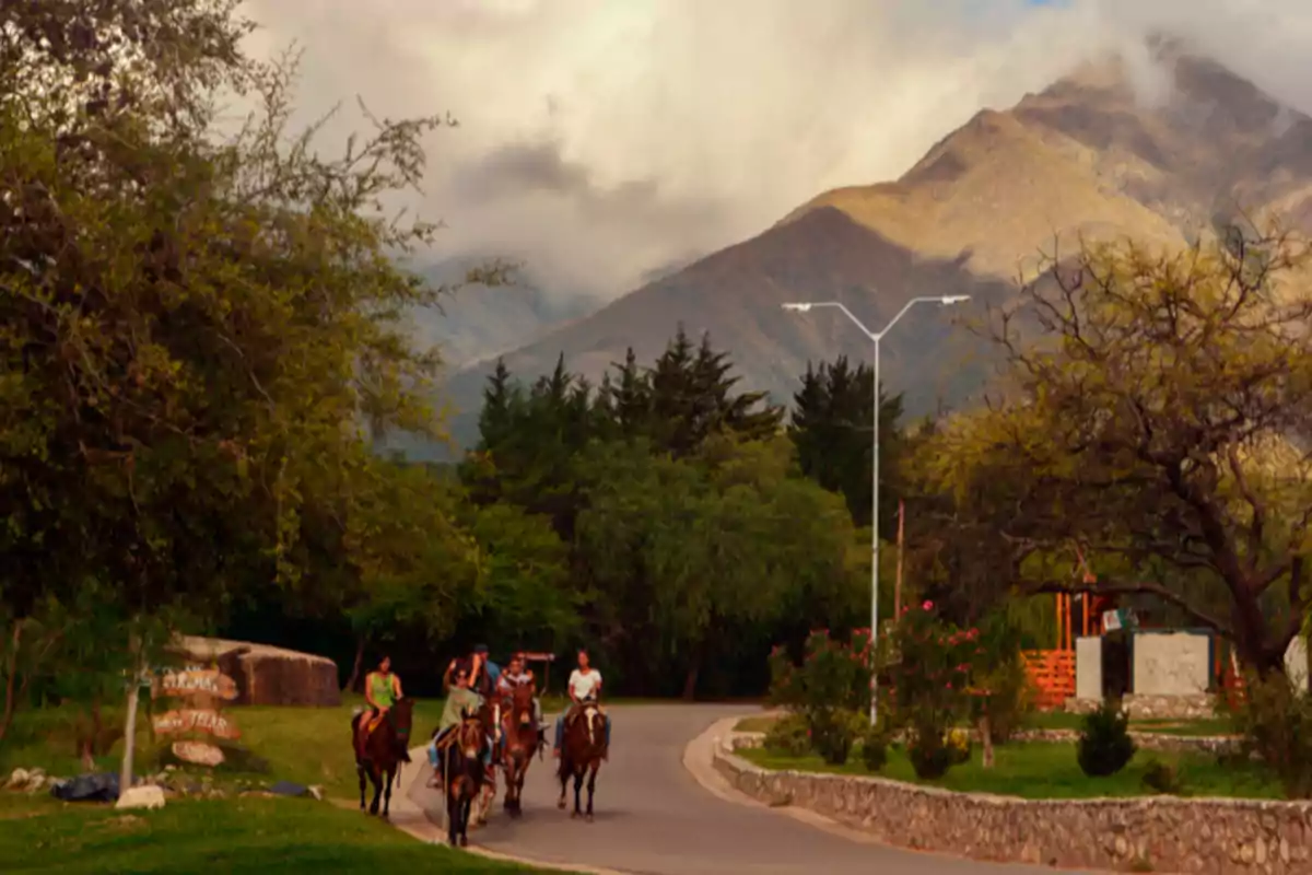 Personas montando a caballo por un camino rodeado de árboles y montañas al fondo con nubes bajas