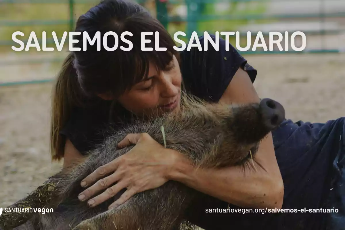 Una mujer abraza a un jabalí con el texto "SALVEMOS EL SANTUARIO" y la URL "santuariovegan.org/salvemos-el-santuario" en la imagen.